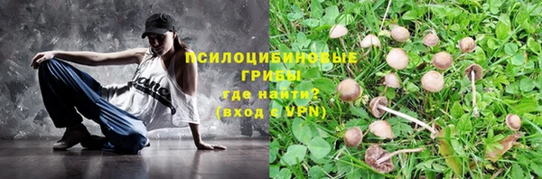 сатива Белоозёрский
