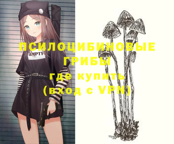 марки nbome Белокуриха