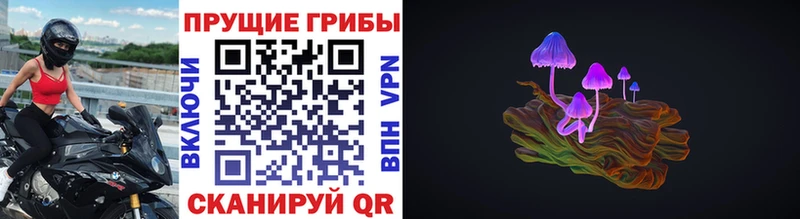 Купить закладки  Мариинск  Галлюциногенные грибы прущие грибы 